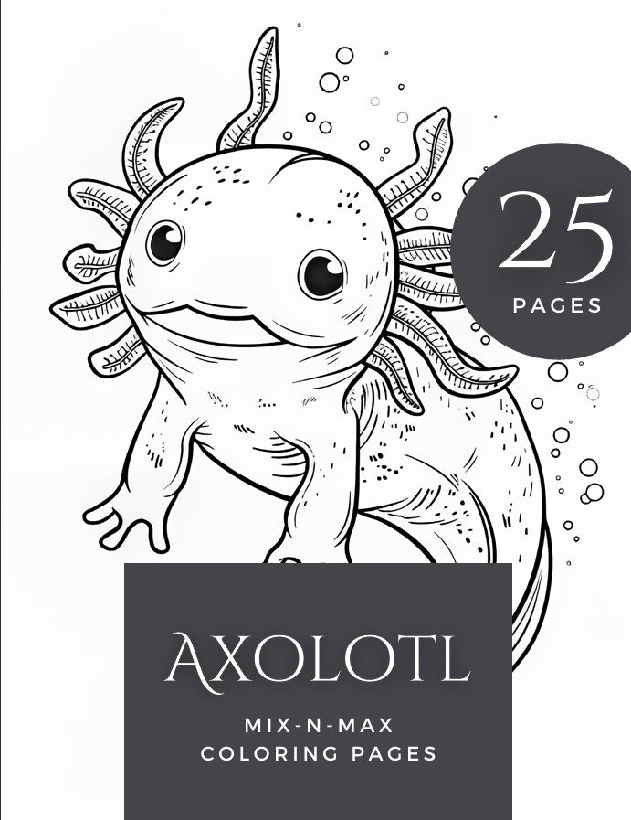 Coloring Book Bundle - 5 Coloring Books (Animals and Gnomes)